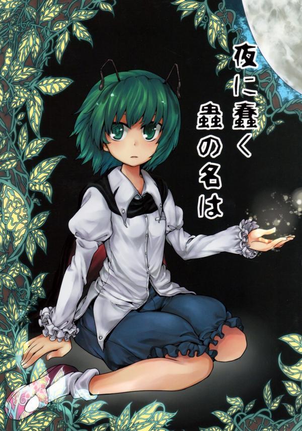 Touhou - Yoru ni Ugomeku Mushi no Na wa (Doujinshi)